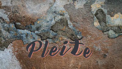 ZINSWENDE: ERSTER LEBENSVERSICHERER PLEITE (WMD Brokerchannel)